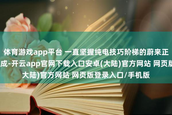 体育游戏app平台 一直坚握纯电技巧阶梯的蔚来正在布局羼杂能源总成-开云app官网下载入口安卓(大陆)官方网站 网页版登录入口/手机版
